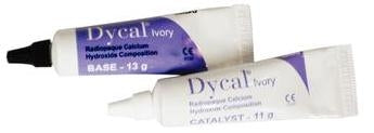 Dycal Single Kit Calcium Hydroxide Liner, Base & Catalyst