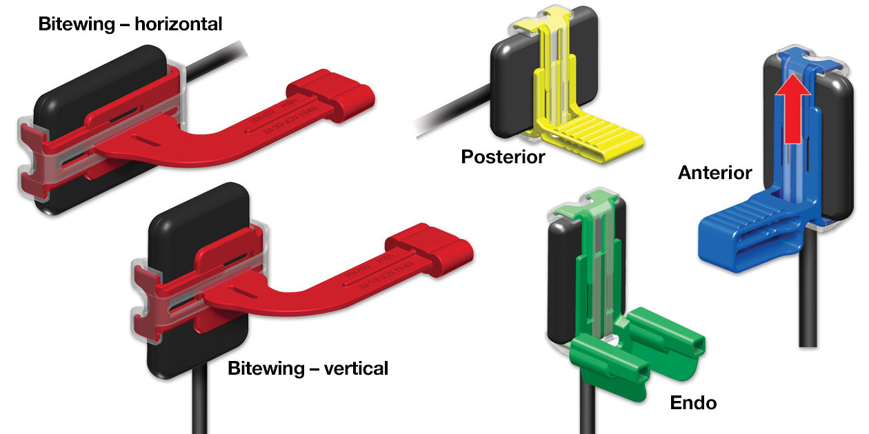 RINN- XCP DS Fit BiteBlocks Digital Universal Sensor Holder 2/Pk #559902